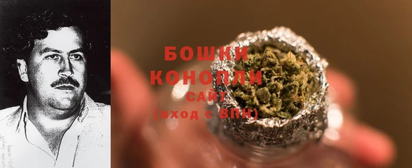 ГАЛЛЮЦИНОГЕННЫЕ ГРИБЫ Белоозёрский