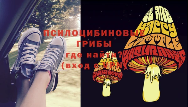 ALPHA PVP Белокуриха