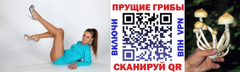 купить   Заводоуковск  Псилоцибиновые грибы ЛСД 